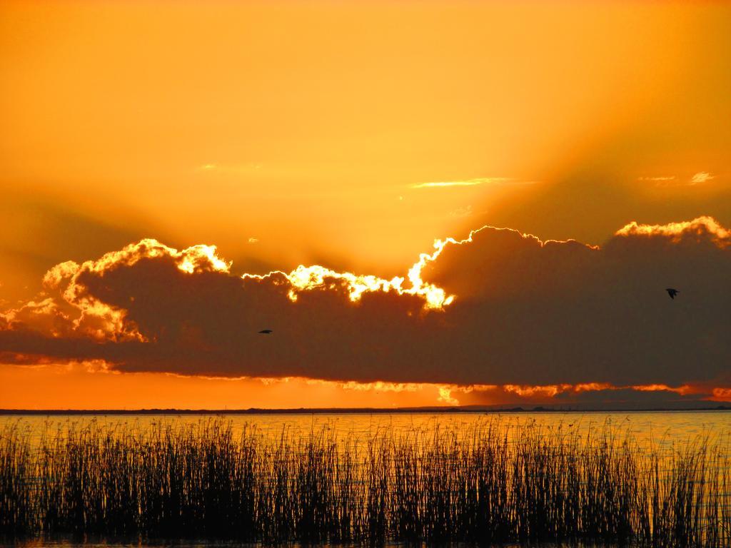 Lake Albert Caravan Park Hotel Meningie Buitenkant foto