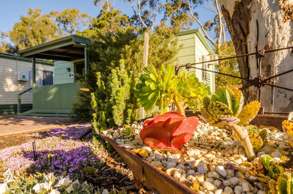 Lake Albert Caravan Park Hotel Meningie Buitenkant foto